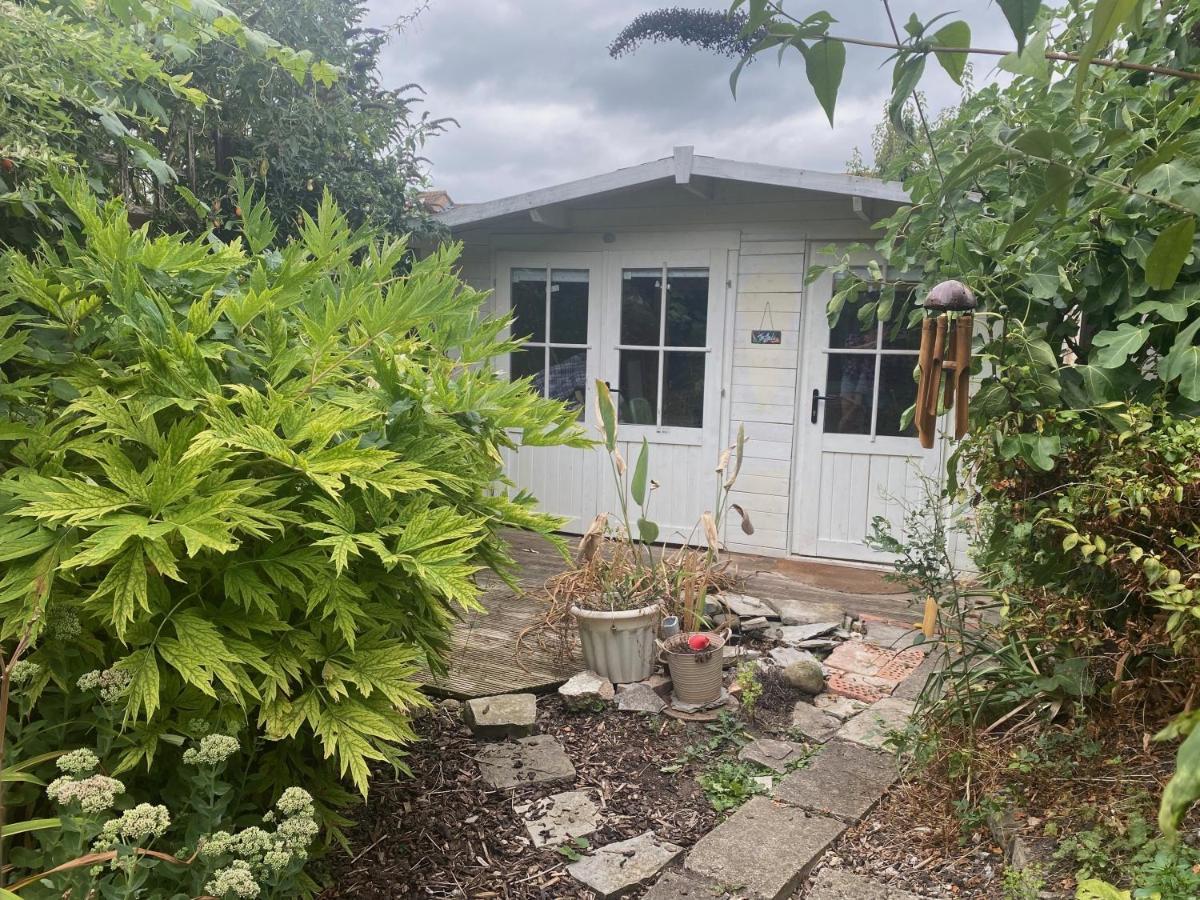 The Dragonfly Bnb, Glastonbury Zewnętrze zdjęcie
