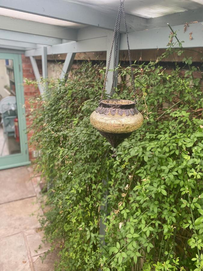 The Dragonfly Bnb, Glastonbury Zewnętrze zdjęcie